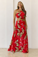 Paradise Ring Maxi Dress Print